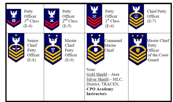 Jrotc ranks lowest to highest