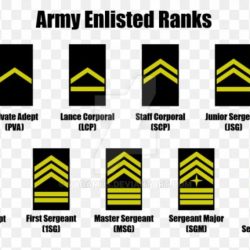 Army rank ranks military insignia jrotc structure ranking staff officer sergeant enlisted officers mom uniforms rotc states united american gif