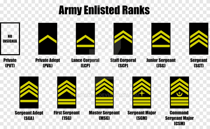 Jrotc ranks lowest to highest